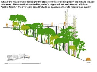 Down from the Hillside, imagine a “Freeway Park” under the Birmingham Bridge designed
to manage stormwater, clean the air ...